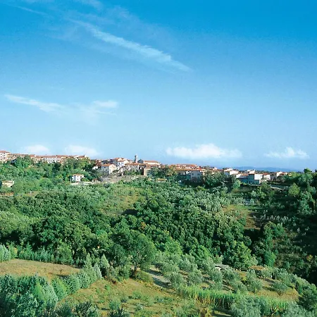 Il Felciaione-19 By Interhome Apartment Riparbella